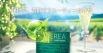 香港TEREA SHINE PEARL青提爆珠IQOS煙彈：圖片 3
